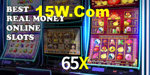 65X App Interface