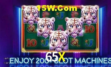 65X Brasília - Jogo Features